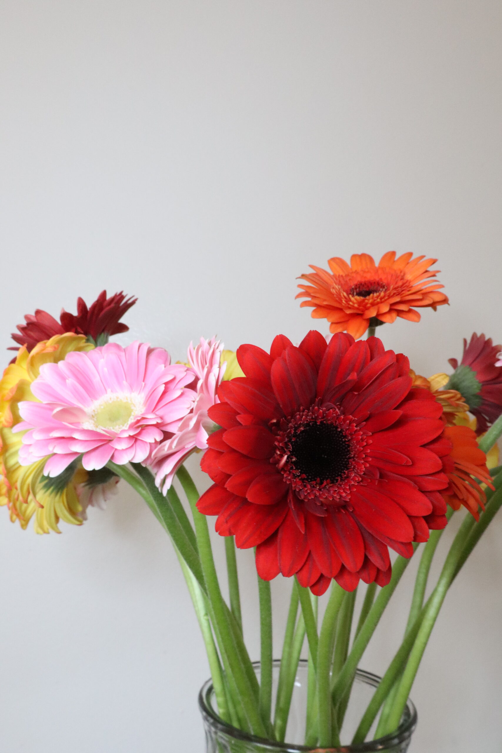 Close up of a colorful seasonal arrangement.